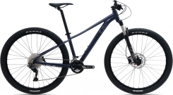 Liv Tempt 29 1 GE (milky way)